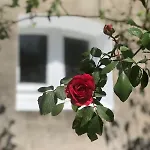 Le * וילר-סור-מר