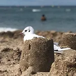 Le *