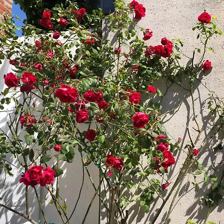 Le Apartamento Villers-sur-Mer